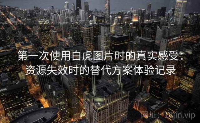 第一次使用白虎图片时的真实感受：资源失效时的替代方案体验记录