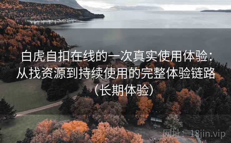 白虎自扣在线的一次真实使用体验：从找资源到持续使用的完整体验链路（长期体验）