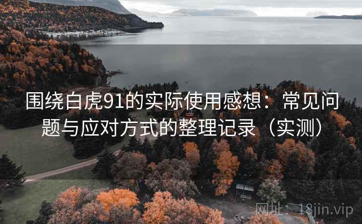 围绕白虎91的实际使用感想：常见问题与应对方式的整理记录（实测）