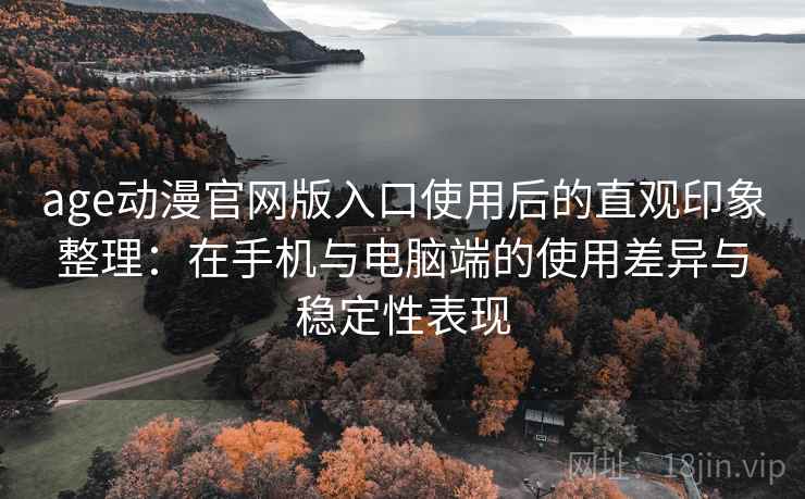 age动漫官网版入口使用后的直观印象整理：在手机与电脑端的使用差异与稳定性表现