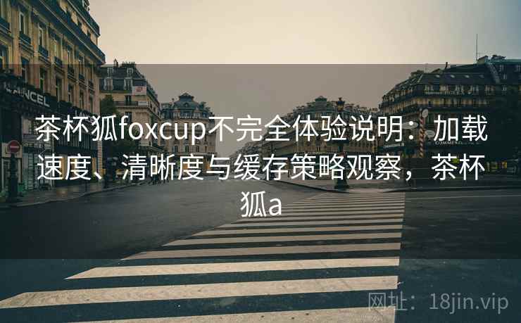 茶杯狐foxcup不完全体验说明：加载速度、清晰度与缓存策略观察，茶杯狐a