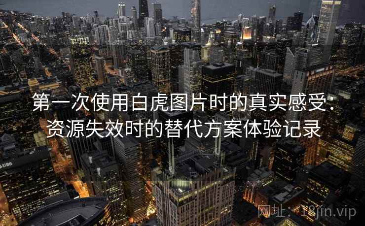 第一次使用白虎图片时的真实感受：资源失效时的替代方案体验记录