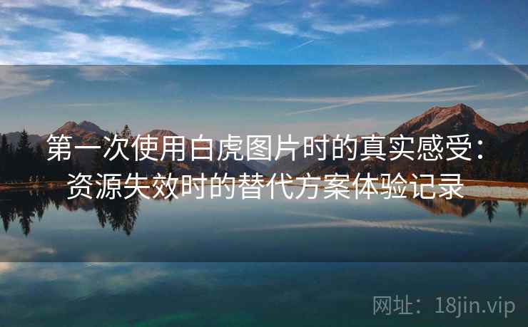 第一次使用白虎图片时的真实感受：资源失效时的替代方案体验记录