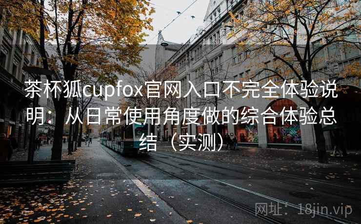 茶杯狐cupfox官网入口不完全体验说明：从日常使用角度做的综合体验总结（实测）